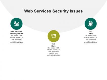 Web services security issues ppt powerpoint presentation infographic template demonstration cpb