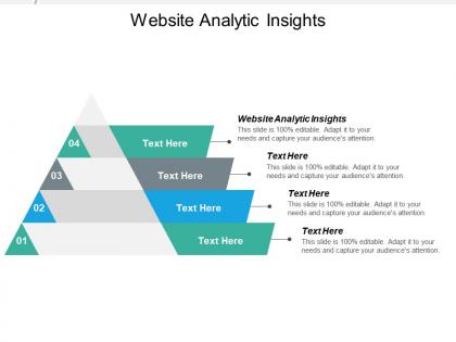 Website analytic insights ppt powerpoint presentation infographics gridlines cpb