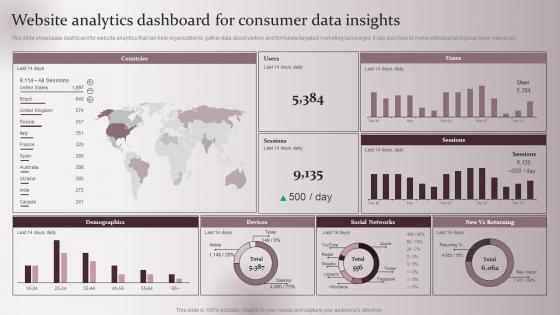 Website Analytics Enhancing Marketing Strategy Collecting Customer Demographic Behavioral Data