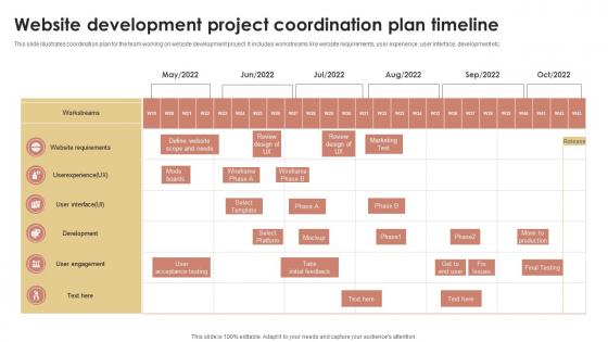Website Development Project Coordination Plan Timeline
