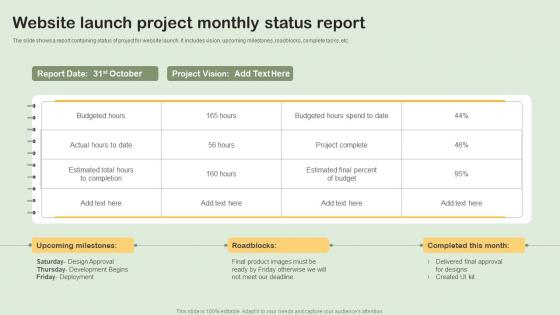 Website Launch Project Monthly Status Report