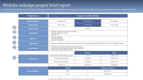 Website Redesign Project Brief Report