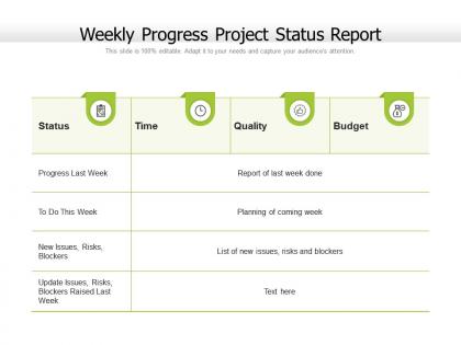 Weekly progress project status report