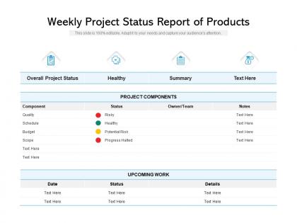 Weekly project status report of products