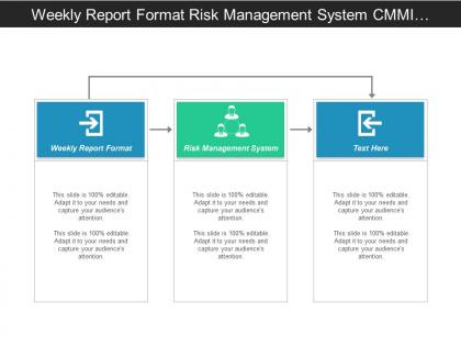 Weekly report format risk management system cmmi model cpb