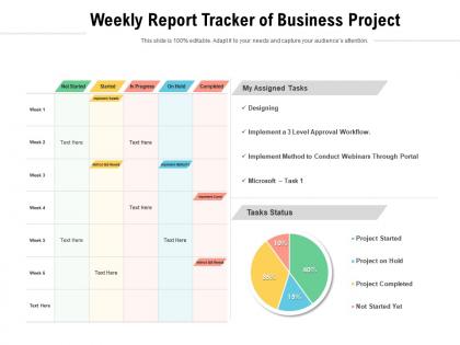 Weekly report tracker of business project