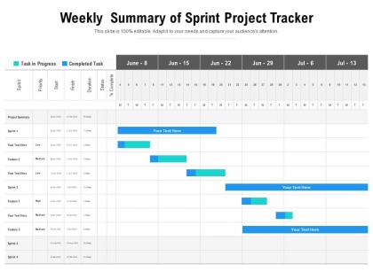 Weekly summary of sprint project tracker
