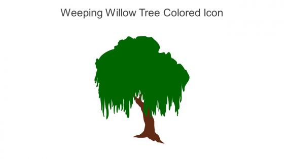 Weeping Willow Tree Colored Icon In Powerpoint Pptx Png And Editable Eps Format