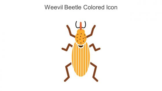 Weevil Beetle Colored Icon In Powerpoint Pptx Png And Editable Eps Format
