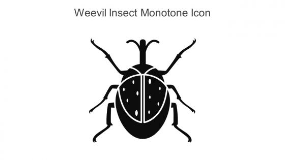Weevil Insect Monotone Icon In Powerpoint Pptx Png And Editable Eps Format