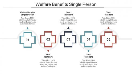 Welfare benefits single person ppt powerpoint presentation infographics portrait cpb