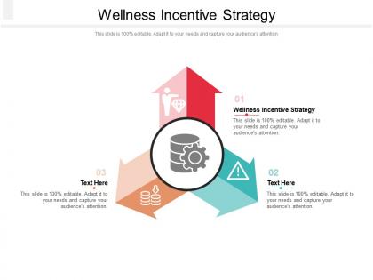 Wellness incentive strategy ppt powerpoint presentation professional slides cpb