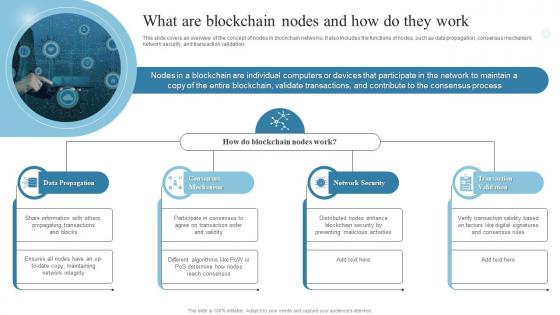 What Are Blockchain Nodes And How Do They Work Introduction To Blockchain Technology BCT SS