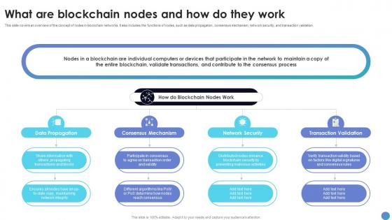 What Are Blockchain Nodes And How Do They Work What Is Blockchain Technology BCT SS V