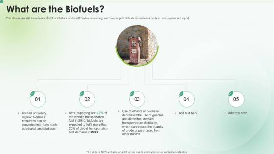 What Are The Biofuels Clean Energy Ppt Powerpoint Presentation Icon Display