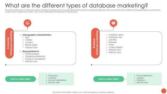 What Are The Different Types Of Database Marketing Database Marketing Techniques MKT SS V