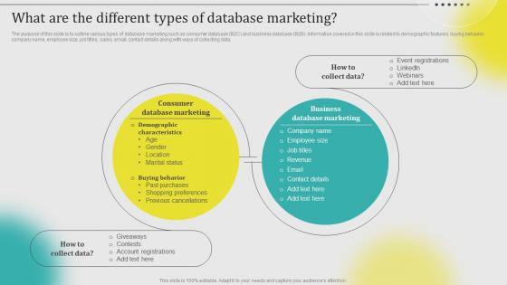 What Are The Different Types Of Database Marketing Leveraging Customer Data MKT SS V
