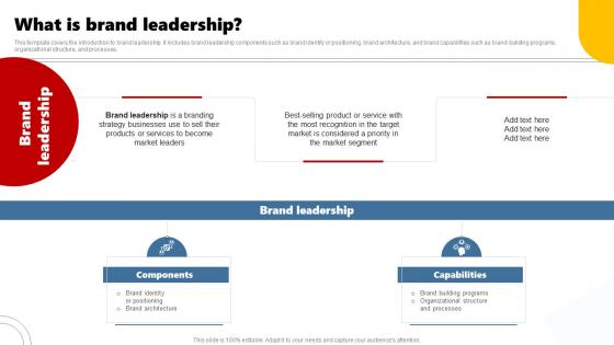 What Is Brand Leadership Developing Brand Leadership Plan To Become Market Leader