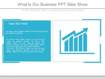 What is our business ppt slide show