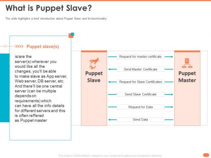 What is puppet slave one central servers ppt powerpoint presentation rules