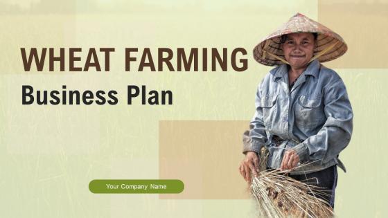 Wheat Farming Business Plan Powerpoint Presentation Slides