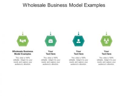 Wholesale business model examples ppt powerpoint presentation layouts graphics pictures cpb