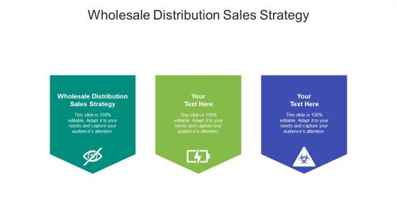 Wholesale distribution sales strategy ppt powerpoint presentation infographics cpb