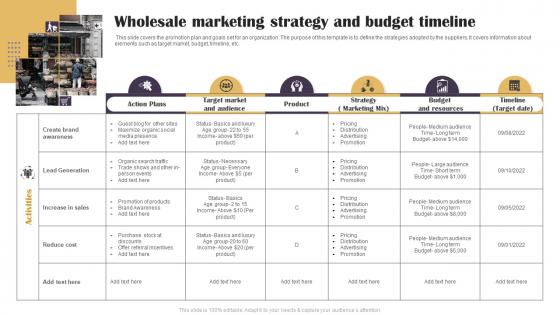 Wholesale Marketing Strategy And Budget Timeline
