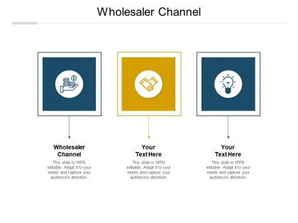 Wholesaler channel ppt powerpoint presentation visual aids professional cpb