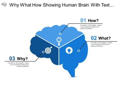 Why what how showing human brain with text holders