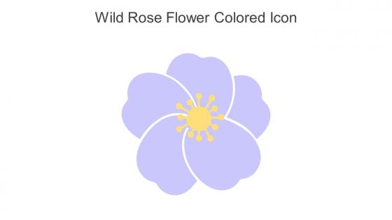 Wild Rose Flower Colored Icon In Powerpoint Pptx Png And Editable Eps Format