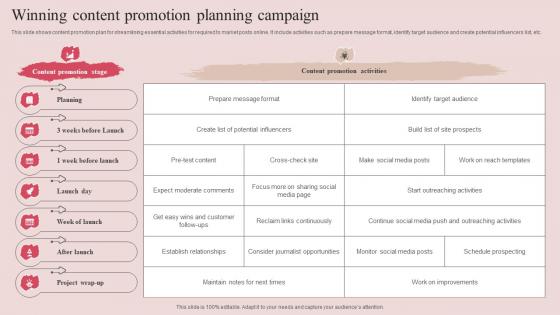 Winning Content Promotion Planning Campaign