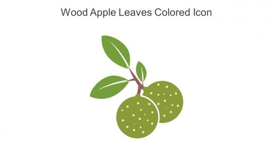 Wood Apple Leaves Colored Icon In Powerpoint Pptx Png And Editable Eps Format