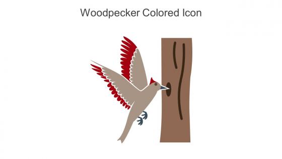 Woodpecker Colored Icon In Powerpoint Pptx Png And Editable Eps Format