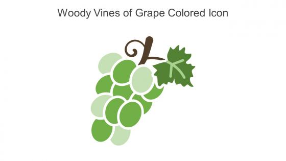 Woody Vines Of Grape Colored Icon In Powerpoint Pptx Png And Editable Eps Format