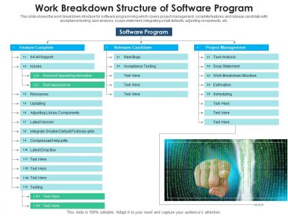 Work breakdown structure of software program