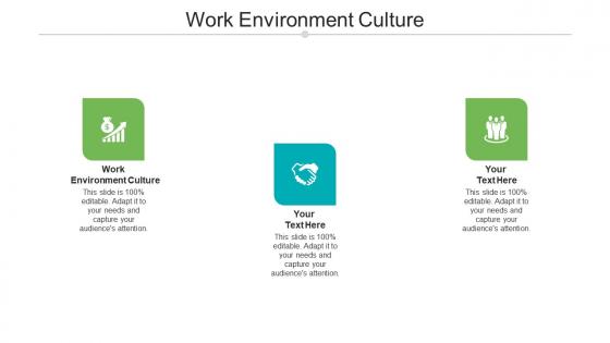 Work environment culture ppt powerpoint presentation portfolio elements cpb