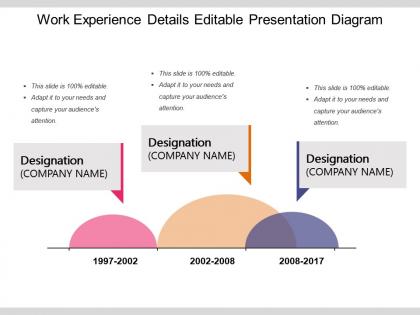 Work experience details editable presentation diagram