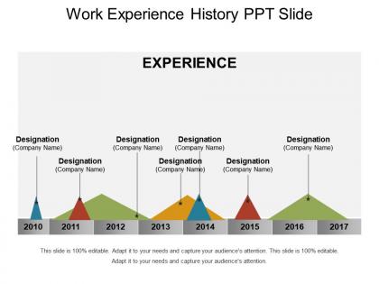 Work experience history ppt slide