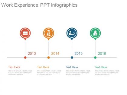 Work experience ppt infographics