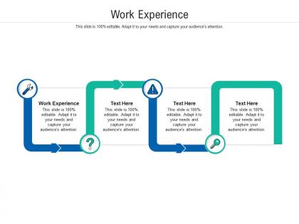 Work experience ppt powerpoint presentation pictures mockup cpb