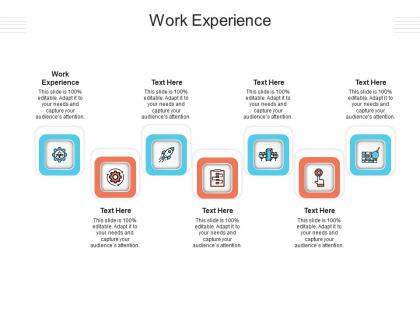 Work experience ppt powerpoint presentation styles deck cpb