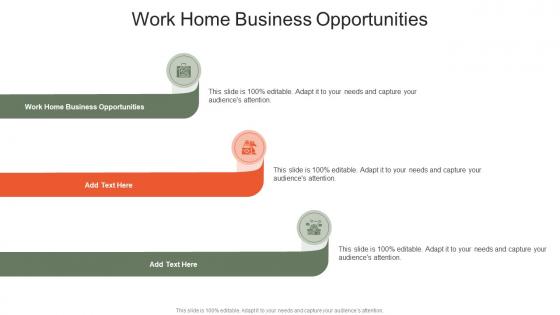 Work Home Business Opportunities In Powerpoint And Google Slides Cpb