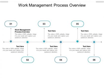 Work management process overview ppt powerpoint presentation show cpb