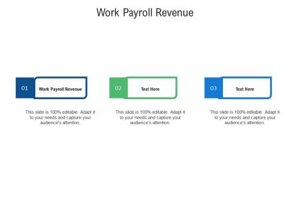 Work payroll revenue ppt powerpoint presentation infographics picture cpb