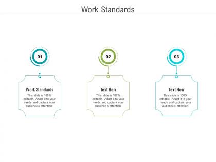 Work standards ppt powerpoint presentation professional templates cpb
