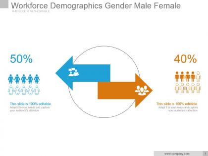 Workforce demographics gender male female sample of ppt