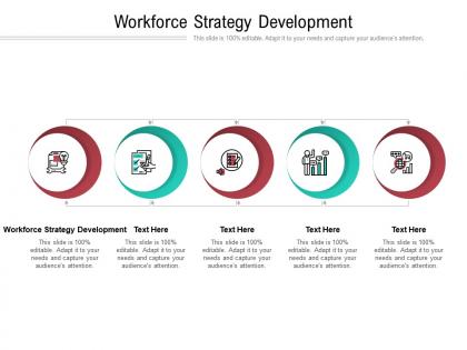 Workforce strategy development ppt powerpoint presentation professional cpb