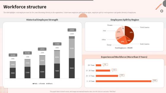Workforce Structure Digital Software Tools Company Profile Ppt Gallery Background Designs