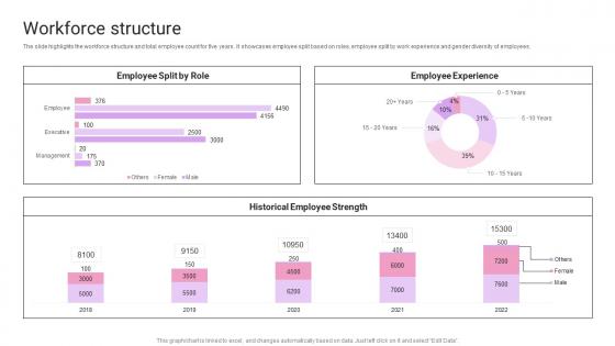 Workforce Structure IT Products And Services Company Profile Ppt Introduction